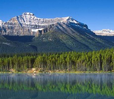 Banff International Conference on Behavioural Science, 2016